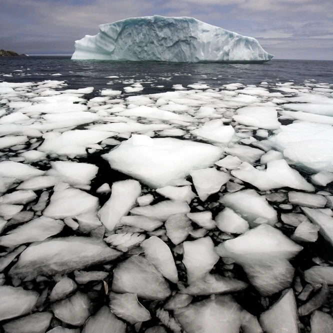 Floating Ice Shattered From Iceberg  Quirpon Island  Newfoundland & Labrador Poster Print (11 x 17)