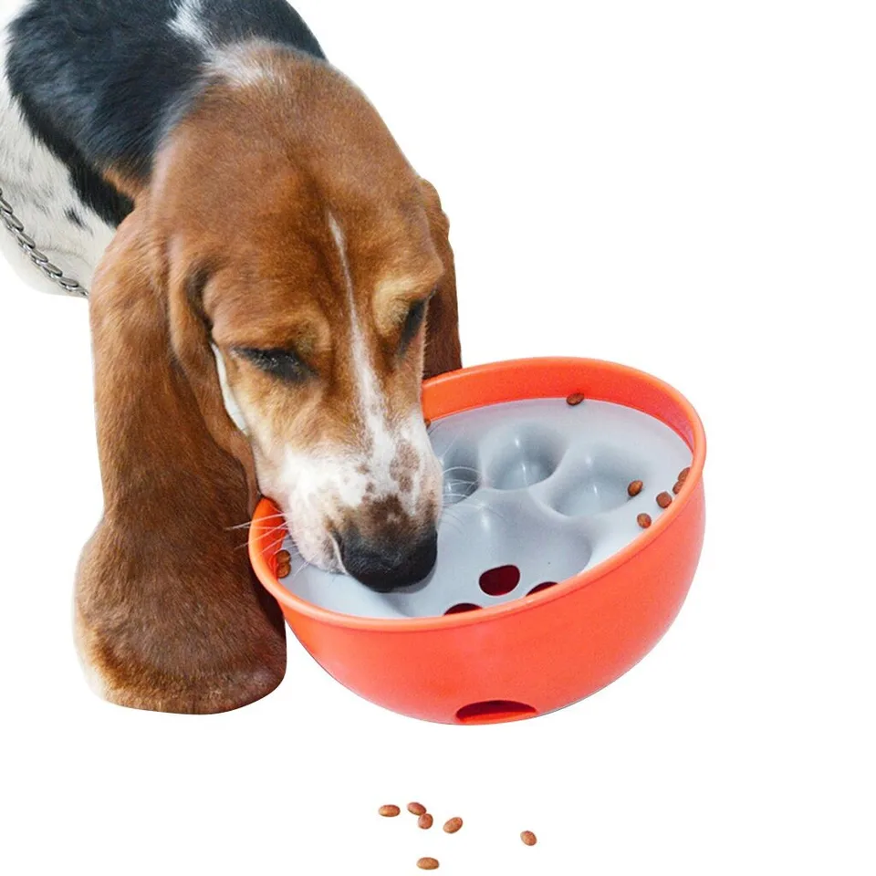 Transer Bowls For Dog Food Rock N Bowl Puzzle Feeder Dogs Bowl