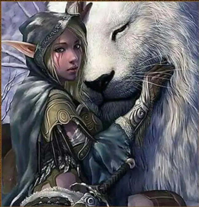 36020190419155918507