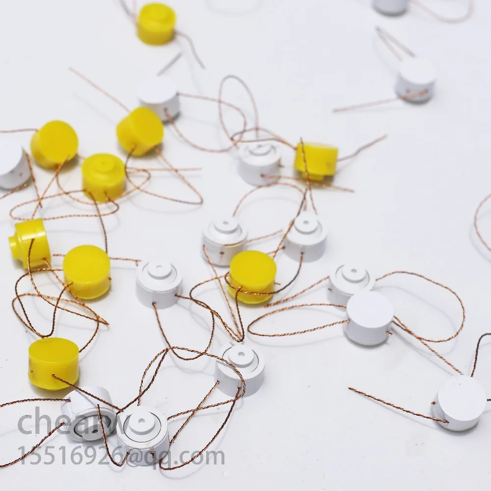 renovacao da casa 01