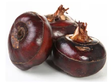 

hot sale crisp fruits seeds bonsai water chestnut seeds sweet nut mini tomato seeds bonsai plant kitchen cook snack fruit seeds
