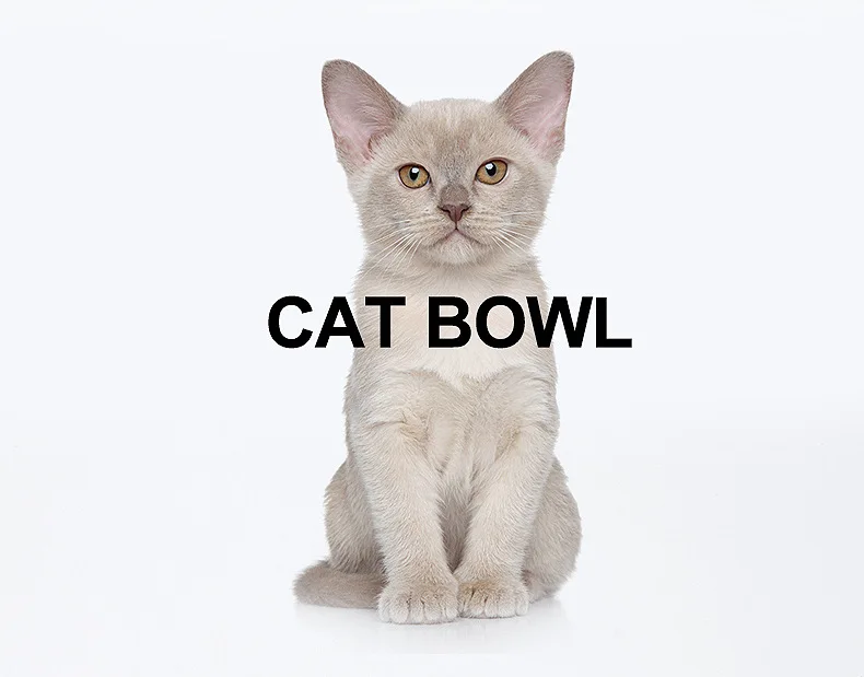 HE керамическая миска для кошачьего корма для домашних животных, миска для воды в форме кошки, легко чистится, идеально подходит для кошек и маленьких собак