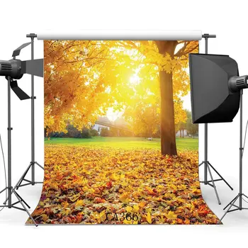 

Photography Backdrop Rural Forest Trees Fall Leaves Nature Autumn Scene Portraits Background Photo Studio Prop CA366