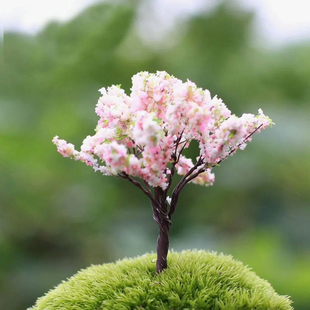 Micro World Bonsai Darden Landscape Decoration Dardening Mini Cherry