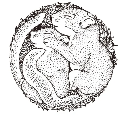 

Animal Stamp Transparent Clear Stamp for DIY scrapbooking/Card Making c506