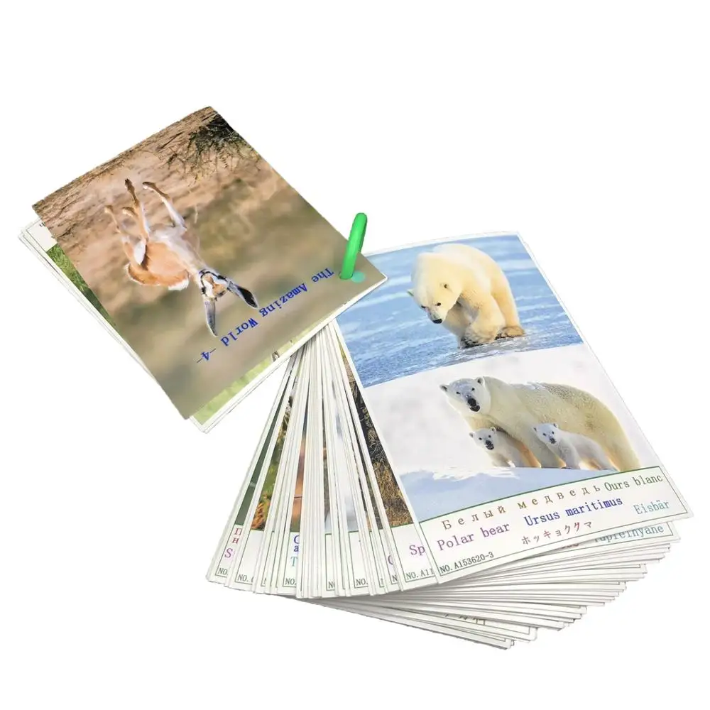 

Picture Book 56pcs Didactic Toys Land Animals Birds Fish Flash Cards Book Five Languages English Russian Game Gift for Children