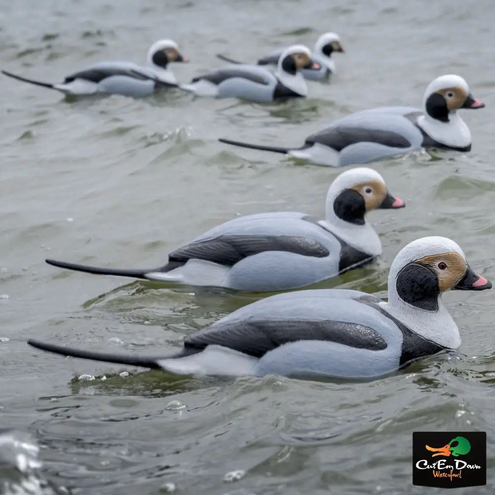 

TANGLEFREE MIGRATION EDITION FLOATING LONG TAIL DUCK DECOYS FOAM FILLED