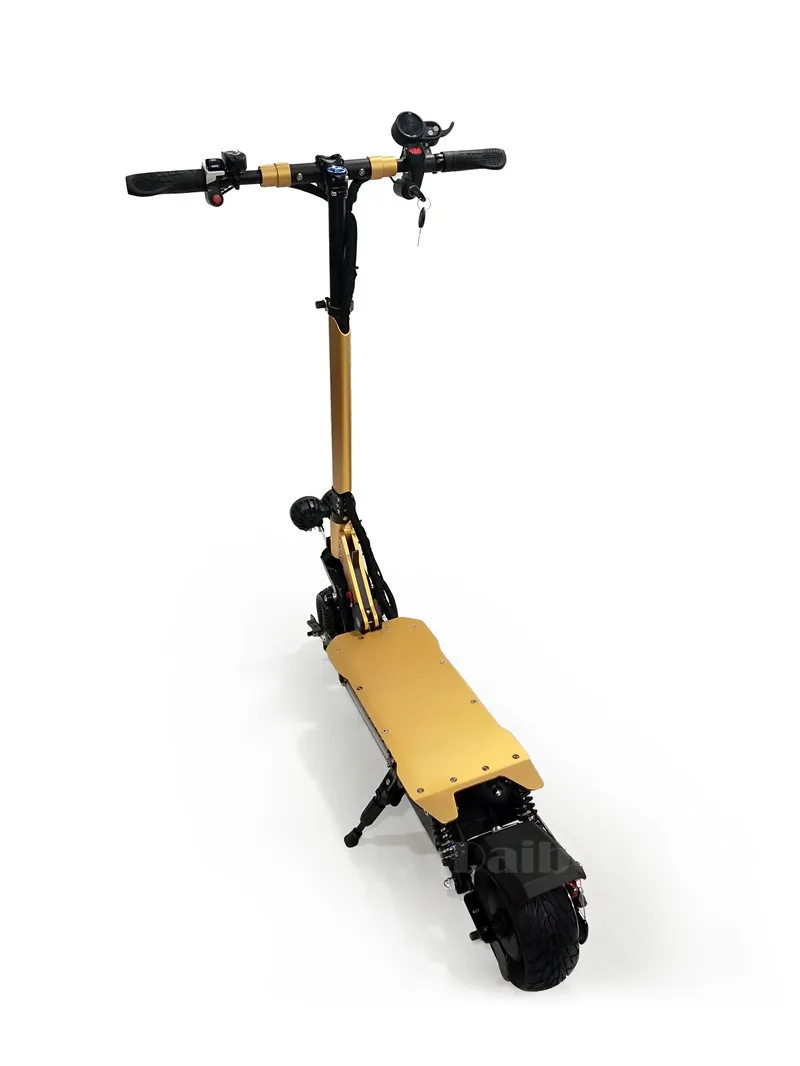 Daibot Electric Scooter Powerful Two Wheel Electric Scooters 8 Inch Double Drive 2000W 48V Portable Gold Scooter Adult Kick      (11)
