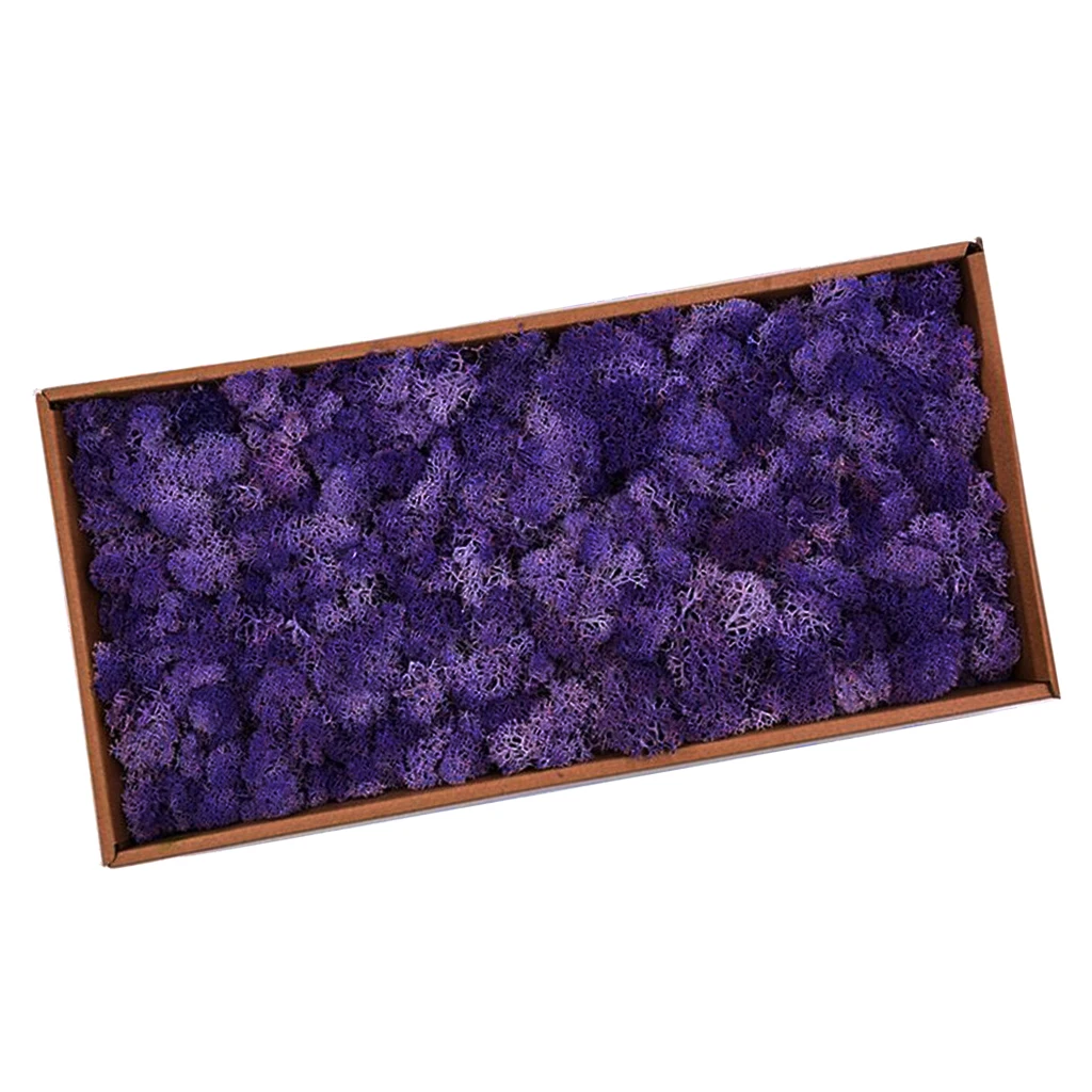 Colorful Artificial Moss Plant DIY Dried Reindeer Moss Floral Crafts Flowers for Plant Pot Garden Home Wedding Decor