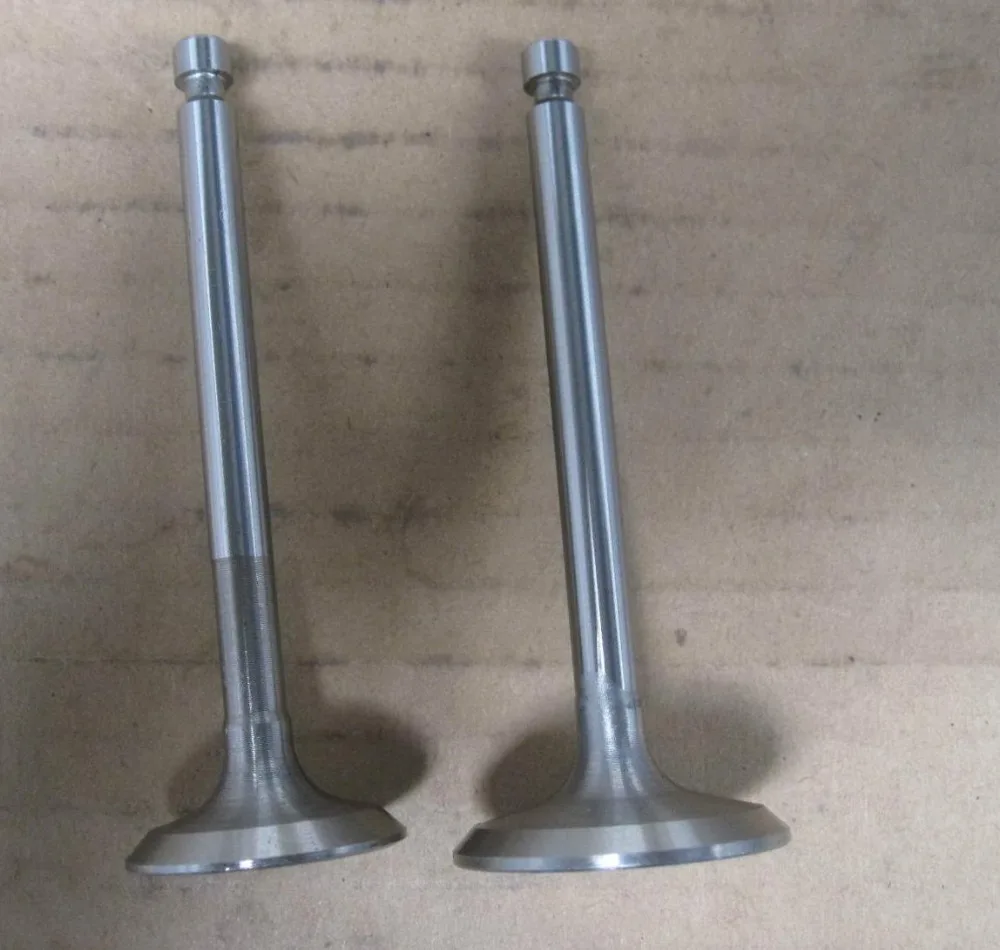 Free shipping 170F intake valve air cooled diesel engine Inlet Valve