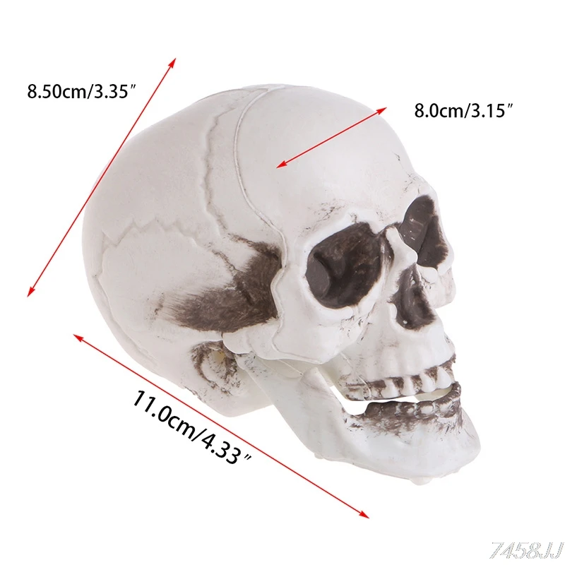 Череп декоративный реквизит скелет голова пластик Хэллоуин день кофе бруски-орнаменты Прямая поставка
