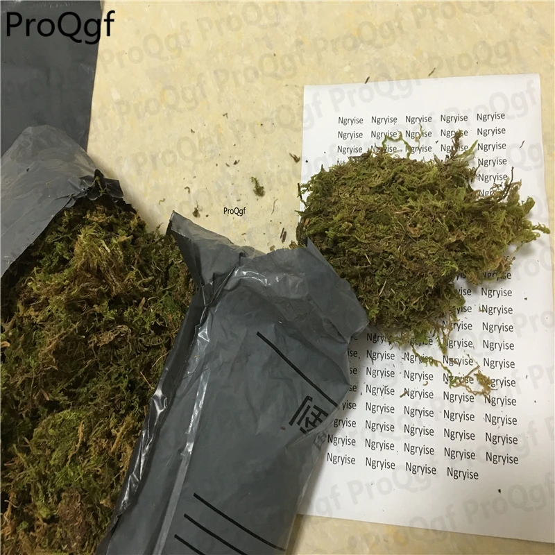 

Ngryise 200Gram A Set Grass Decoration Real