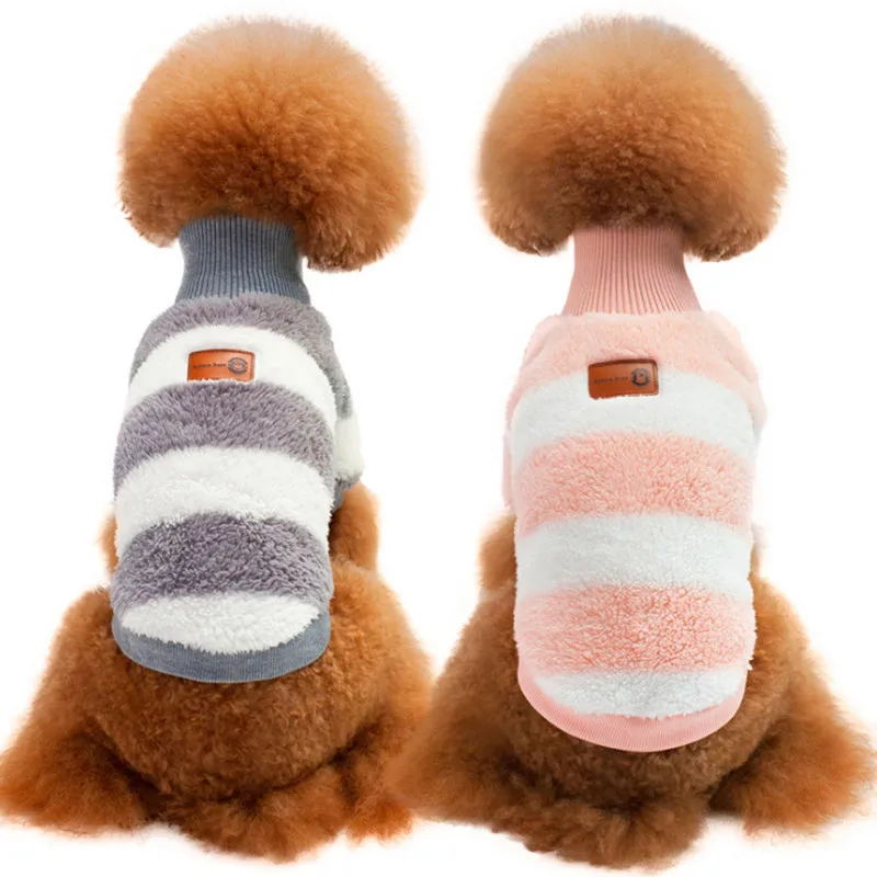 Bear coat dog price Clearance