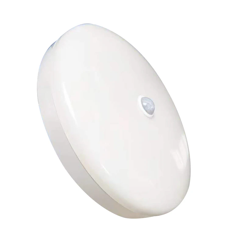 Smart Home Motion Sensor/Sounds Control LED Ceiling Lights ...
