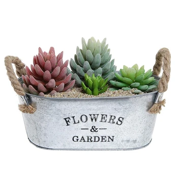 

Flowers&Garden'Bucket Design Small Metal Succulent Plant Container W/Twine Handles