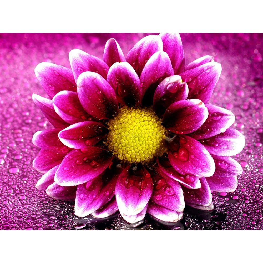 Diamond Painting Accessories 5D Full Round Diamond Embroidery Flowers Bead Work Mosaic Rhinestone DIY Factory Direct
