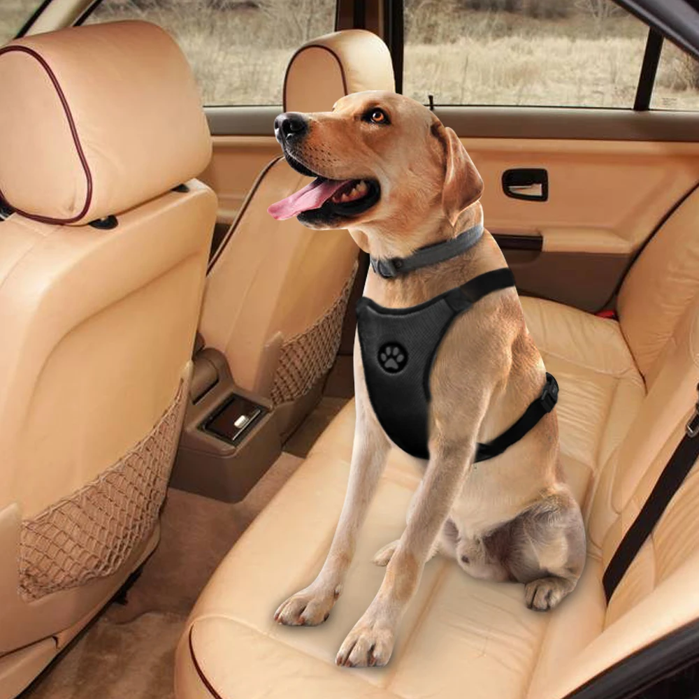 dog car seat belt pets at home