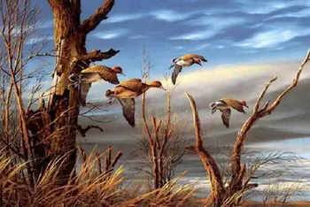 

Needlework DIY 5d Diamond Painting Cross Stitch Wild duck Pattern Rhinestone square Full Diamond Embroidery picture Home Decor