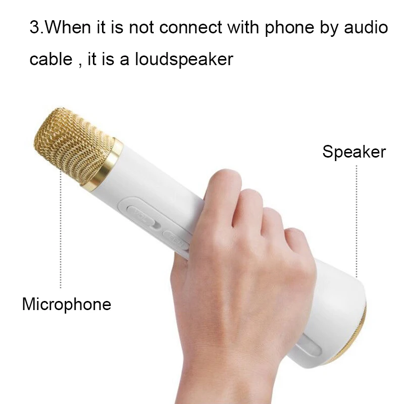 Microphone 4