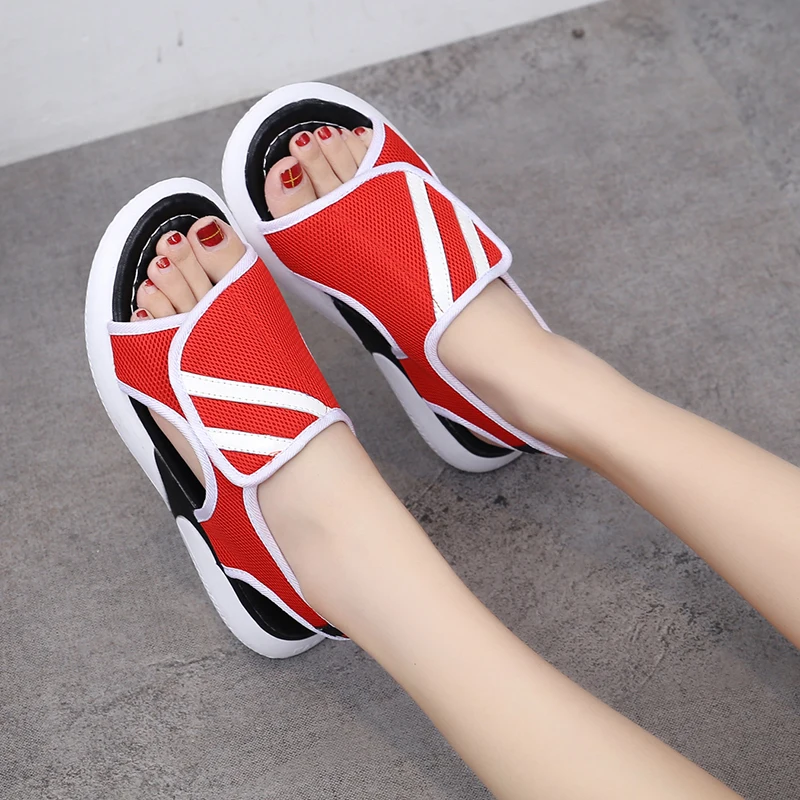 hong (4)