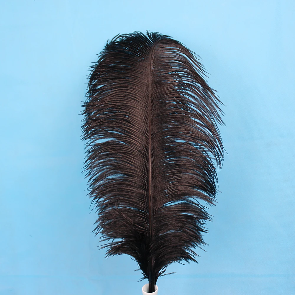 Natural black feathers wholesale 40 45 cm 50 PC 16 18 inches/centimeters long ostrich featherin