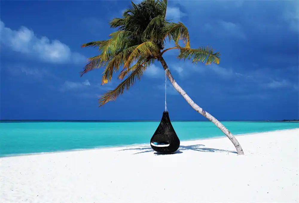 Laeacco Mar Playa Palmas Hamaca De Arbol Escenico Cielo Azul Fotografia Fondos Personalizados Fondos Fotograficos Para Estudio Fotografico Fondo Aliexpress