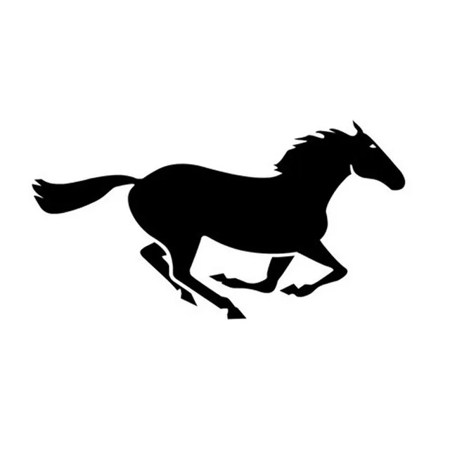 paard zwart wit paard zwart wit