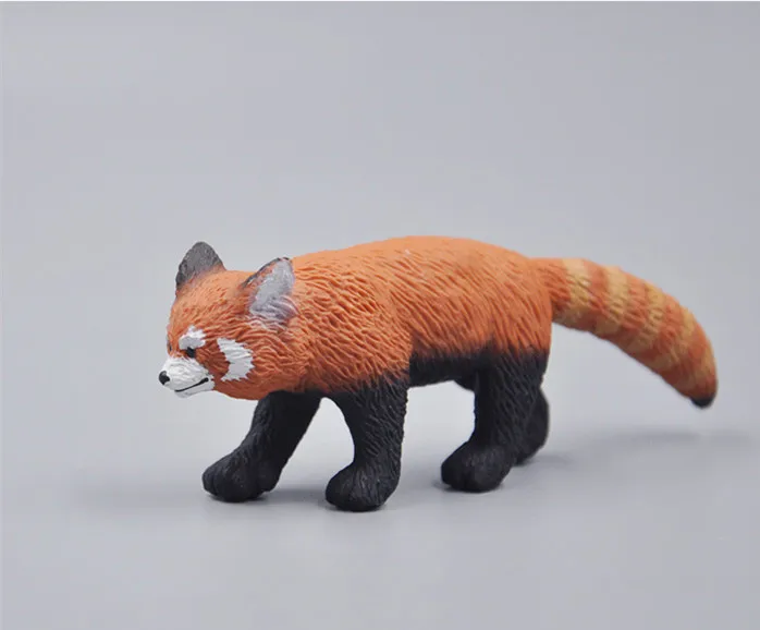 red panda_