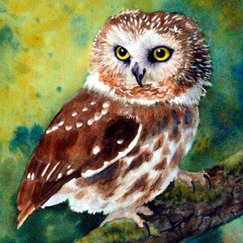5D Diamond Painting Full Drill Square Bird Embroidery Owl Mosaic Cross Stitch Animal Picture Of Rhinestones Icon | Дом и сад