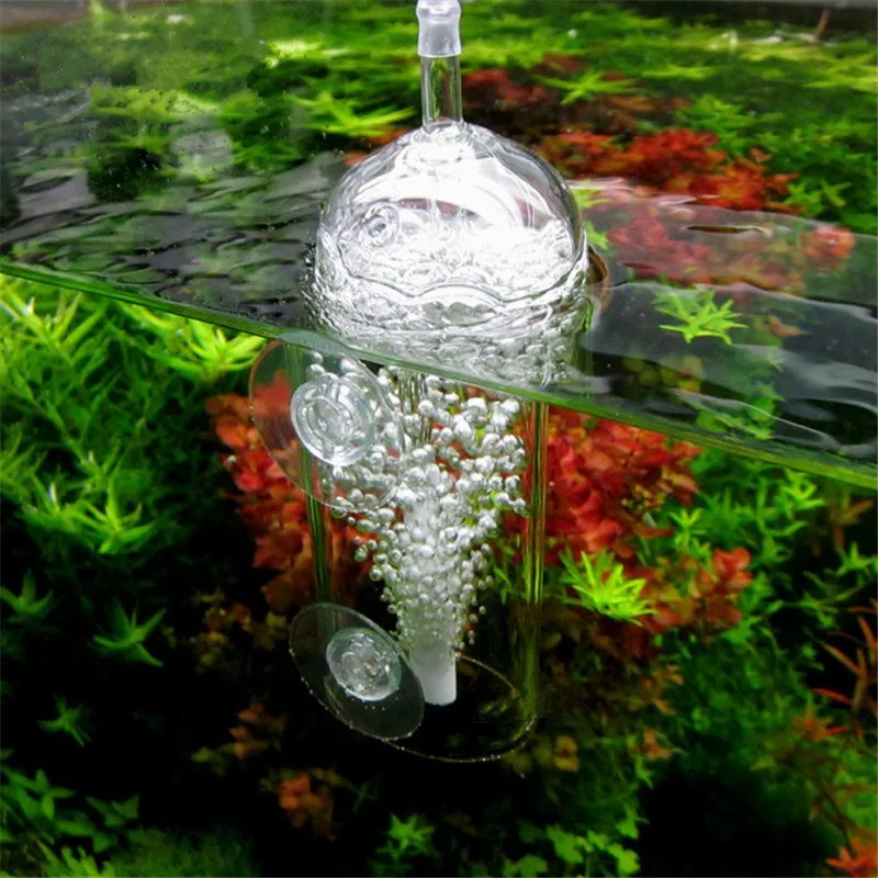 Картинка с форума