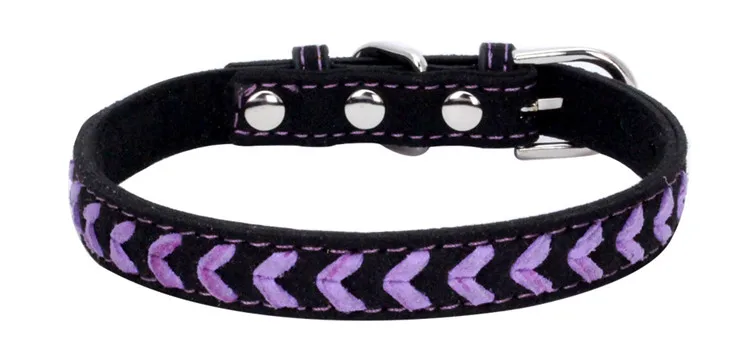 dog collars (10)