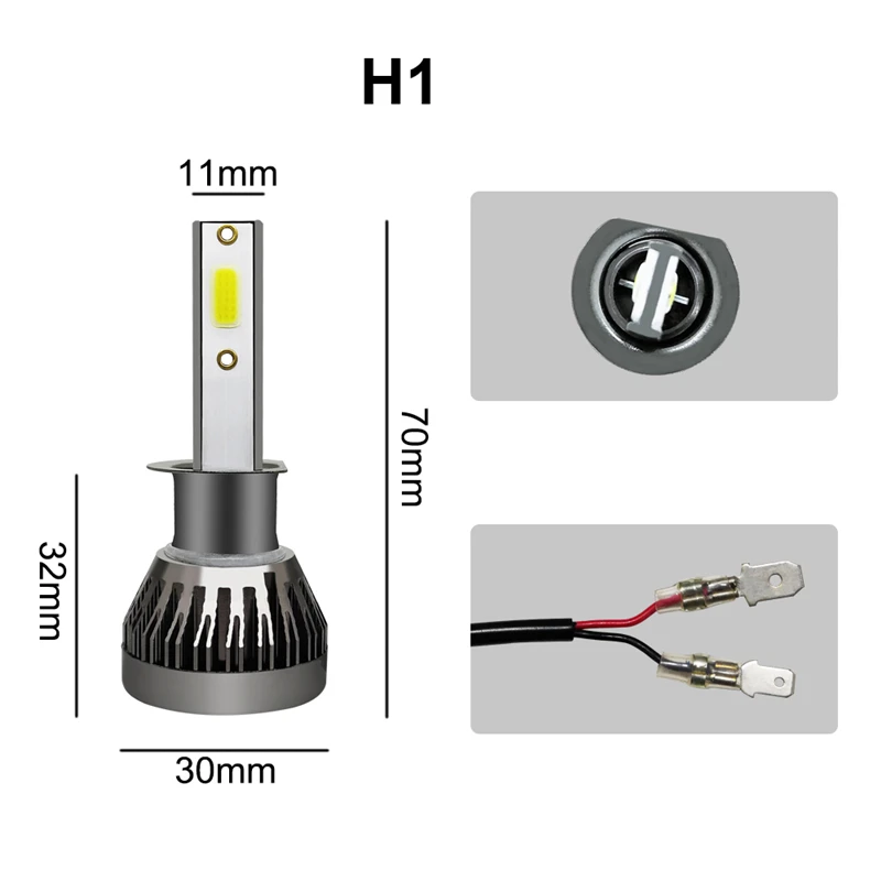 H1