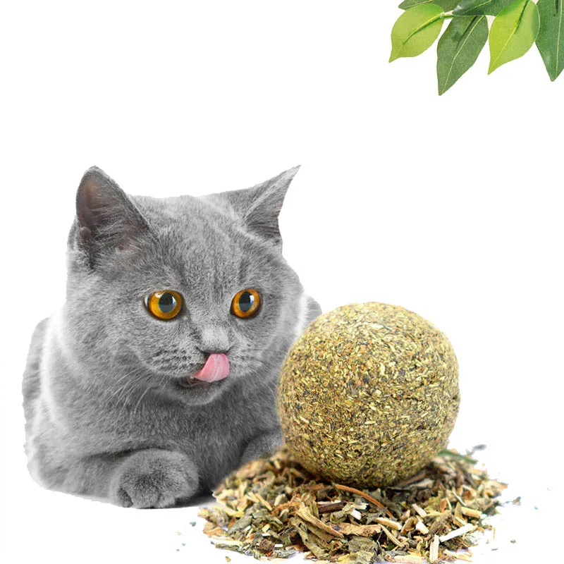 Pet Catnip Cat Treat Ball Home Chasing Toys Menthol Flavor Healthy Products For Cats Kitten Edible Supplies PT5011 (1)