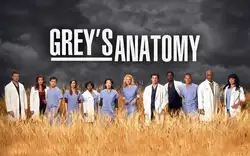 N1167 GREYS Anatomy ТВ-шоу стикер на стену шелковая ткань плакат искусство домашний декор яркий