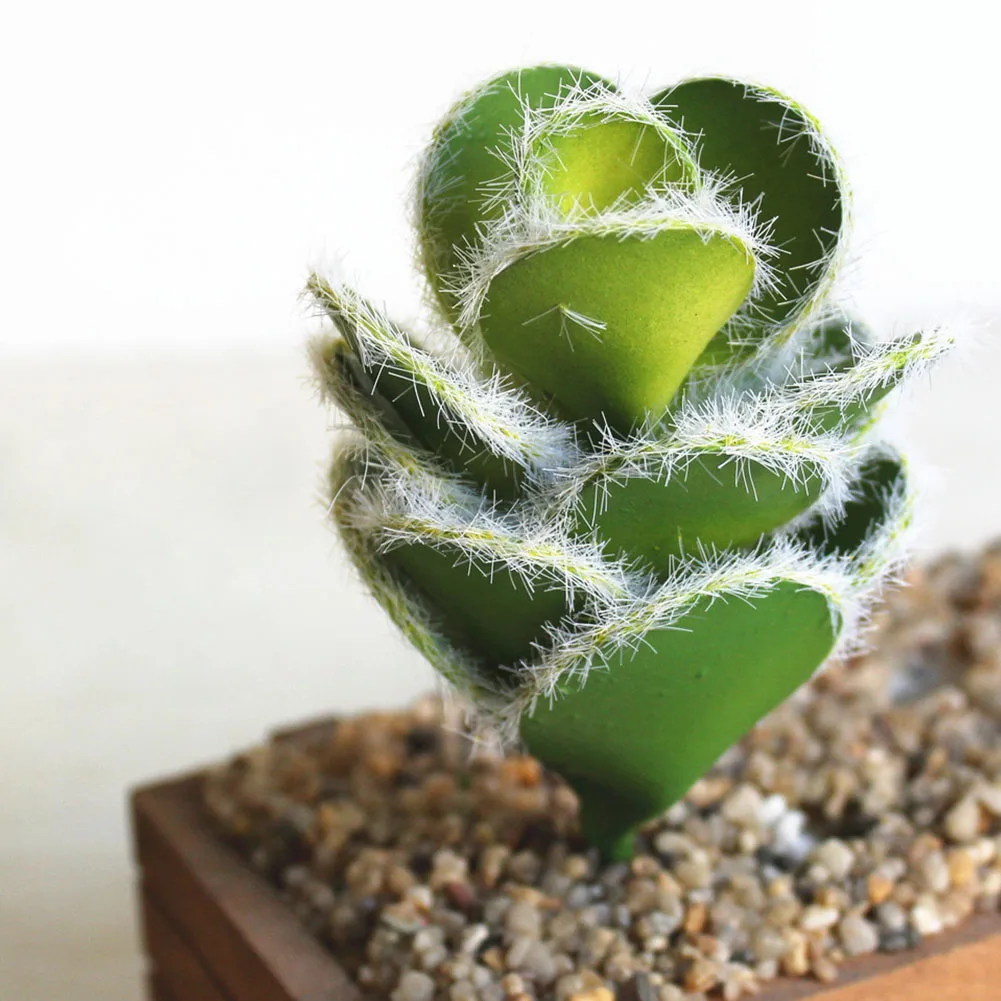 

Artificial Plants Diverse Vivid DIY Landscape Garden Simulation Succulents Desert Office Delicate Home Prickly Pear Fake Cactus
