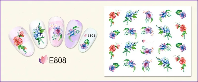 E808