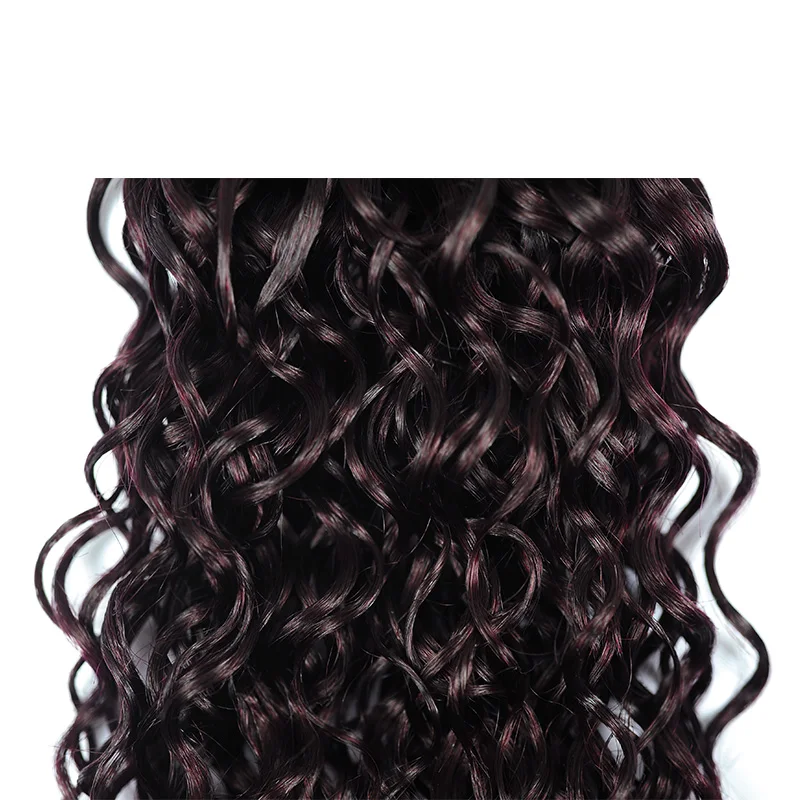 Dark Purple Ombre Brazilian Water Wave Bundles With Closure Human