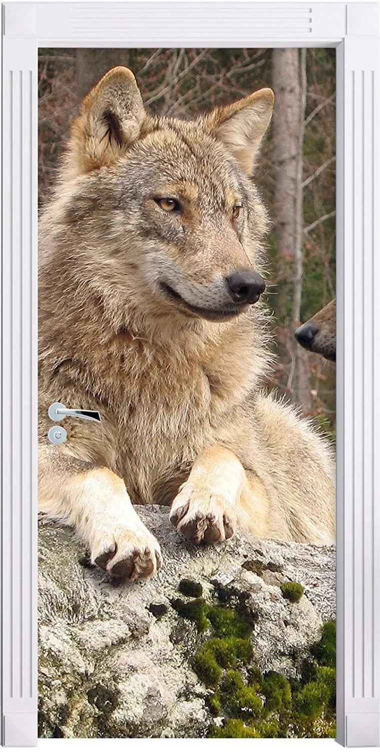 81QijsqFnSL._SL1500_