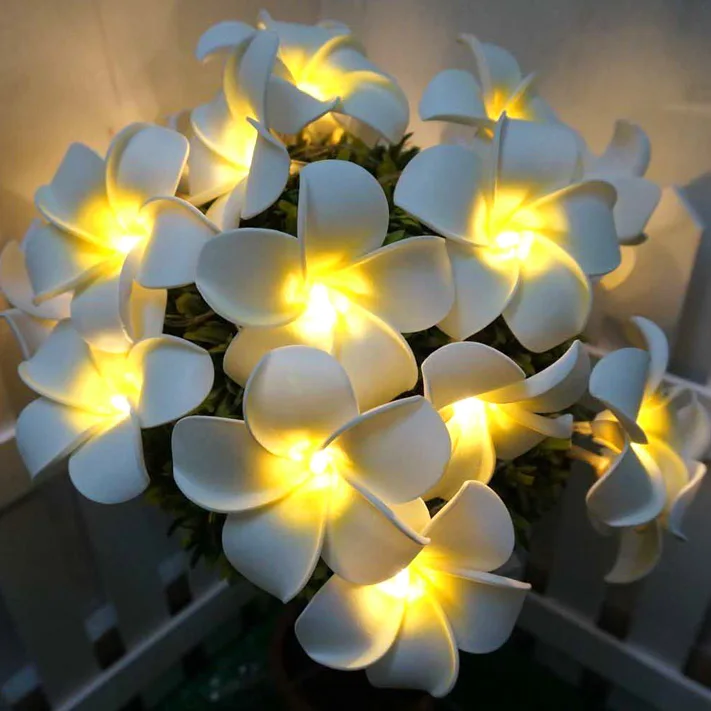 3M 24LED String Lights Battery Powered Hawaiian Foam Artificial Plumeria Flower Fairy for Wedding Garland Party Home Decor 3M 24LED String Lights Battery Powered Hawaiian Foam Artificial Plumeria Flower Fairy for Wedding Garland Party Home Decor