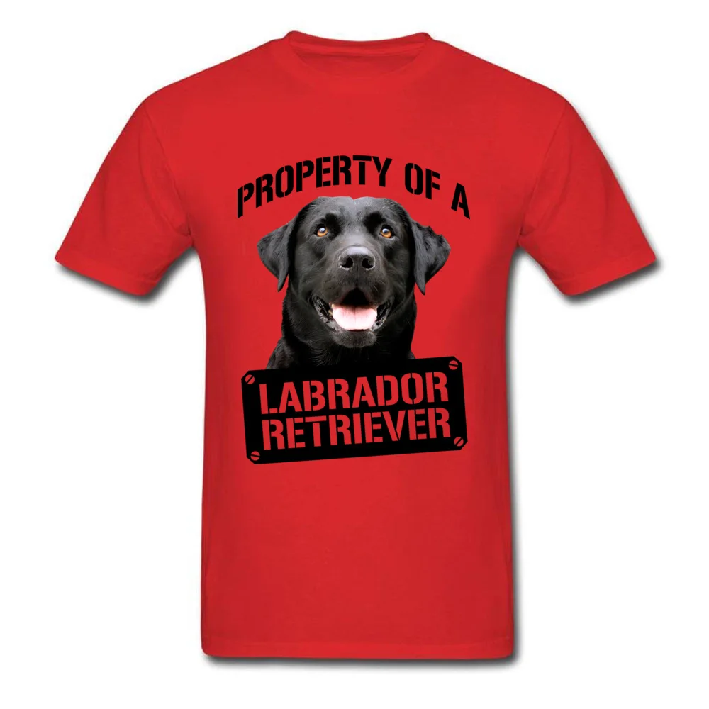 Love Dog Labrador Retriever_red