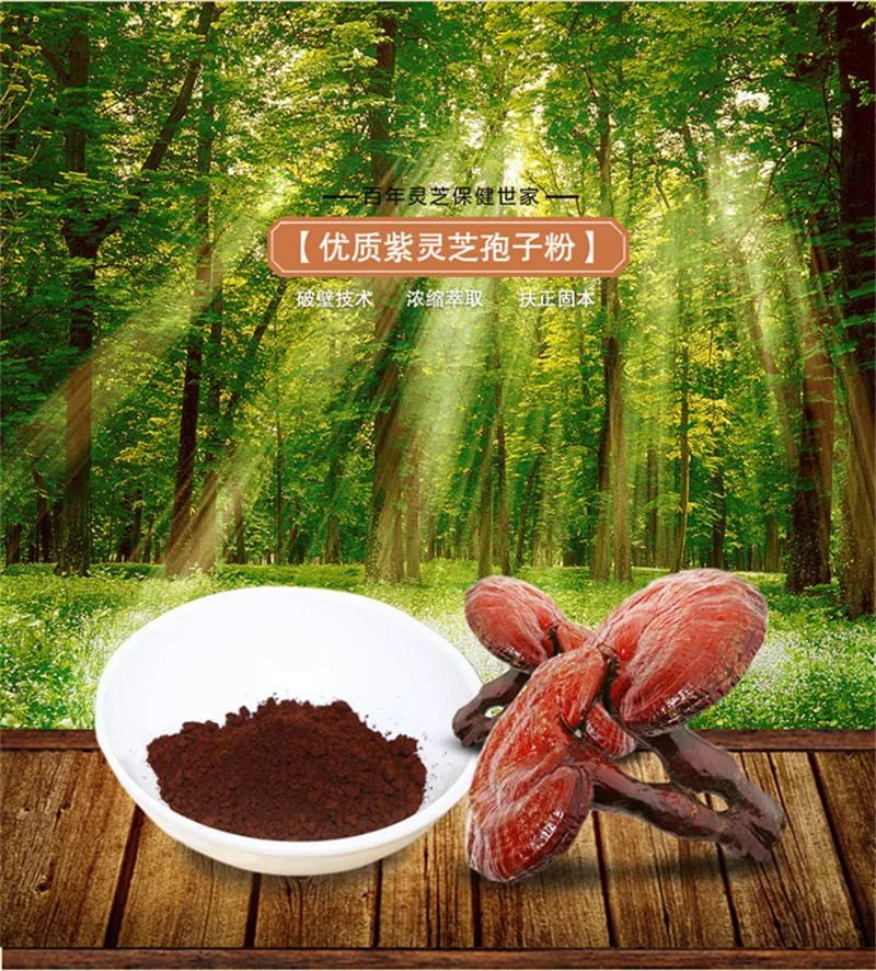  C-TS046 Ganoderma Lucidum Lingzhi 500g Wild reishi Spore Powder, herbal medicine, Anti-cancer and anti-aging Free shipping 