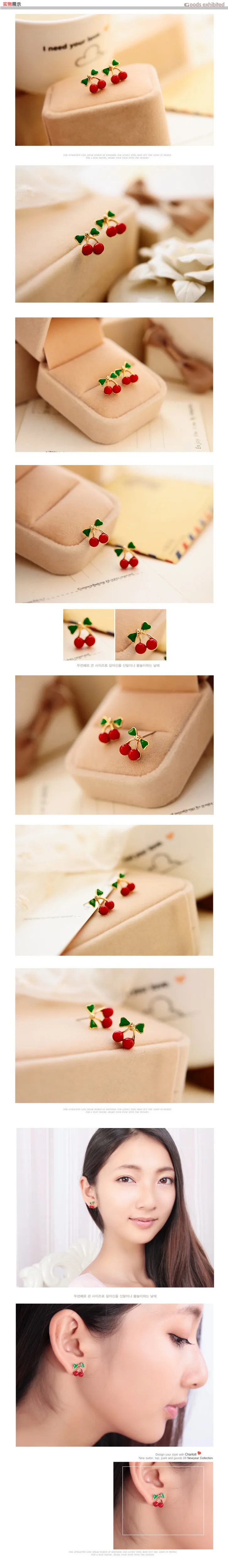 4142516492_204193426