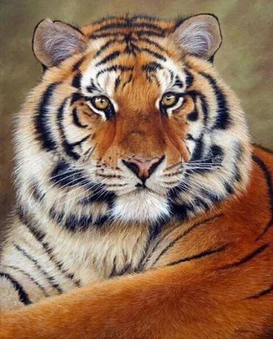 tiger plné diamantové výšivky, diamantové malování zvířat, plné, 5d, diamantový malířský tygr