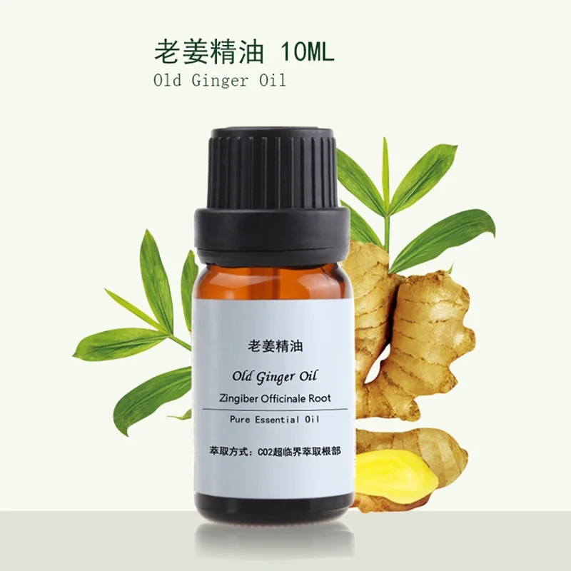 

wholesale and retail Food grade Essential Ginger Oil 10ml