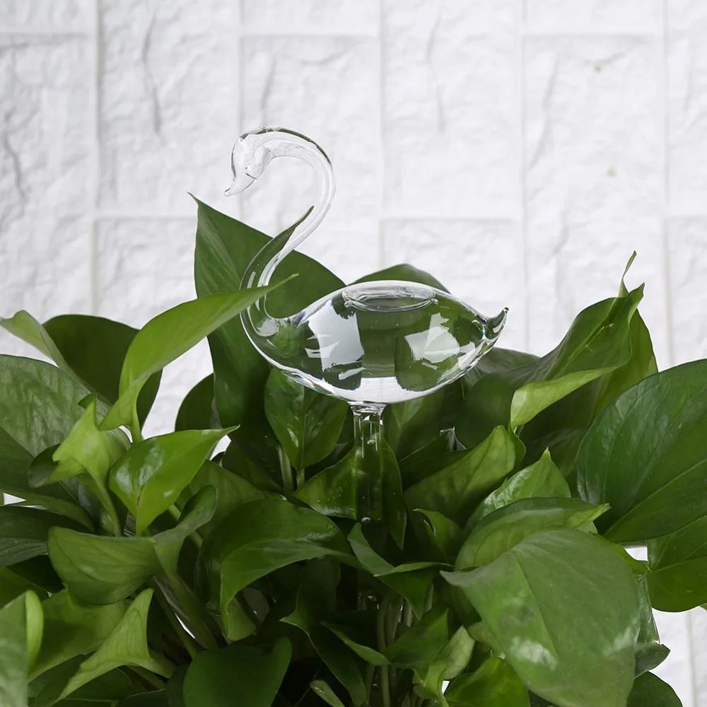 Plants Self Watering Device (6)