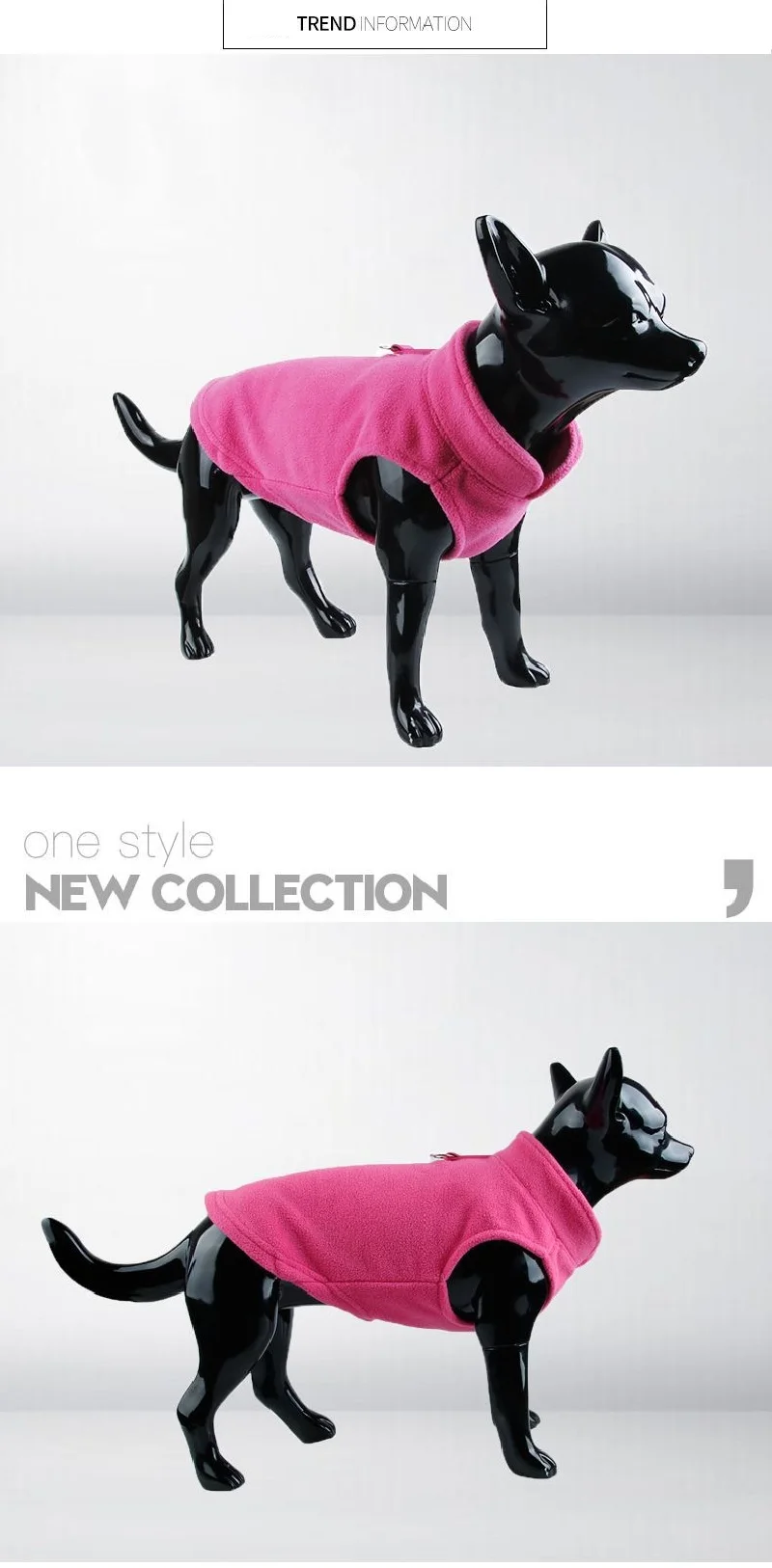 9043779441_2075213894