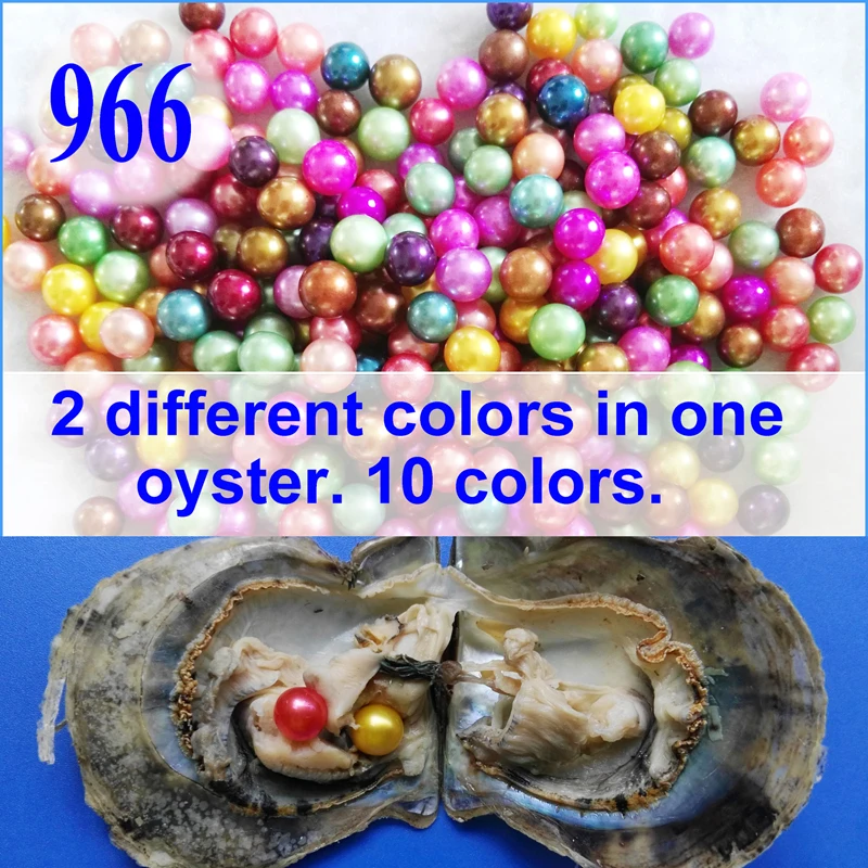 966  