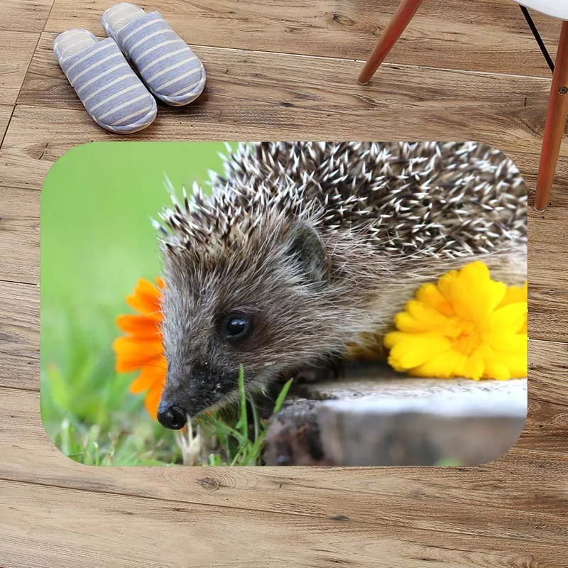 Напольный коврик hedgehog для входной двери пользовательские коврики ванной комнаты