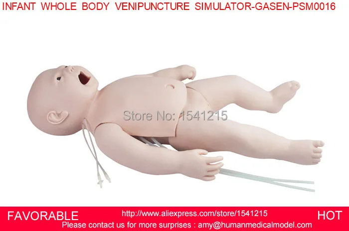 

INFANT VENIPUNCTURE SIMULATOR,MEDICAL BABY MODEL FULL BODY INFANT VENIPUNCTURE MANIKIN,BABY VENIPUNCTURE SIMULATOR-GASEN-PSM0016