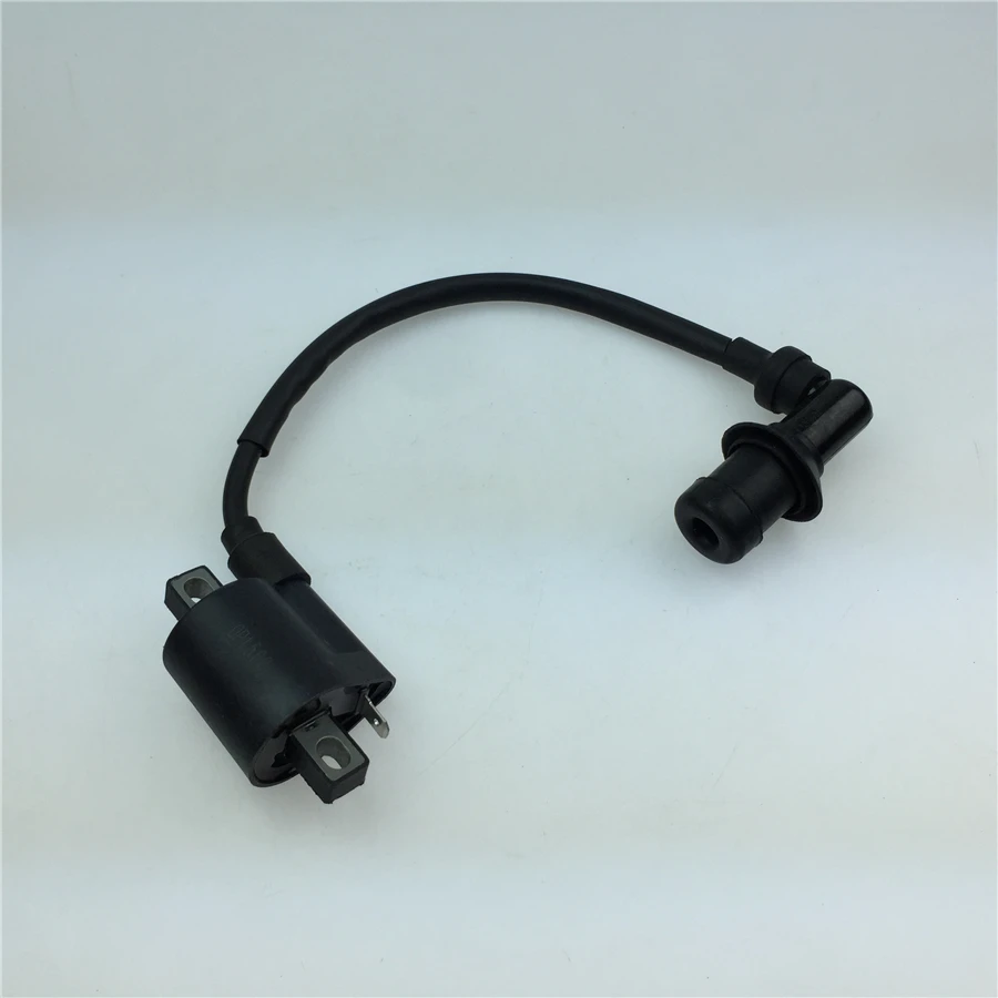 For Lai Fuk Hi clever grid Hanayome 100 Eagle modified scooter parts motorcycle ignition coil power stabilizer free shipping